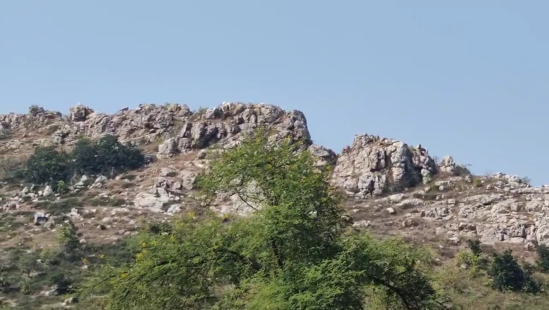 खत्री पहाड़ का उद्धार करने के लिए चोंटी में विराजमान होती हैं विंद्यवासनी मां