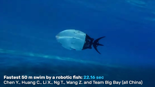 Guinness World Records made by Robots 